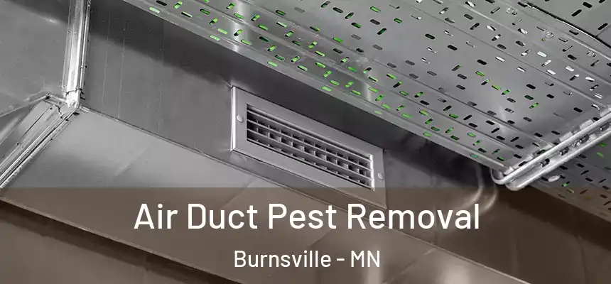 Air Duct Pest Removal Burnsville - MN