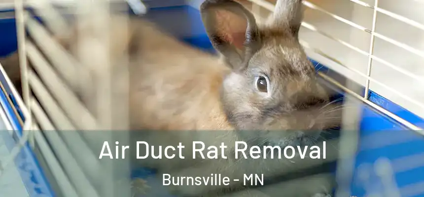 Air Duct Rat Removal Burnsville - MN