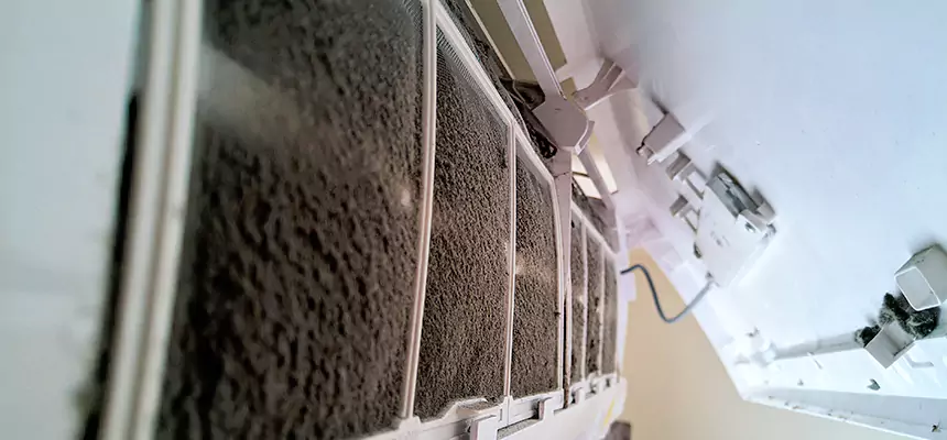 Preventive Air Duct Bacteria Removal in Burnsville