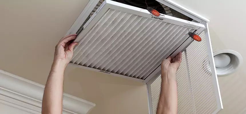 Preventive Cockroach-Proofing for Ducts in Burnsville