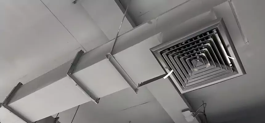 Our Rodent Droppings In Vents Services in Burnsville, MN