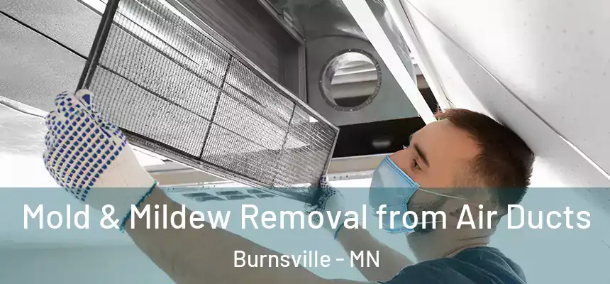 Mold & Mildew Removal from Air Ducts Burnsville - MN