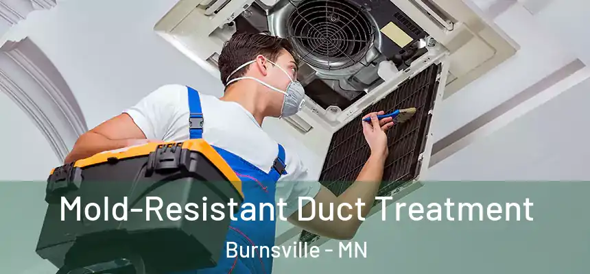 Mold-Resistant Duct Treatment Burnsville - MN