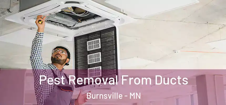 Pest Removal From Ducts Burnsville - MN