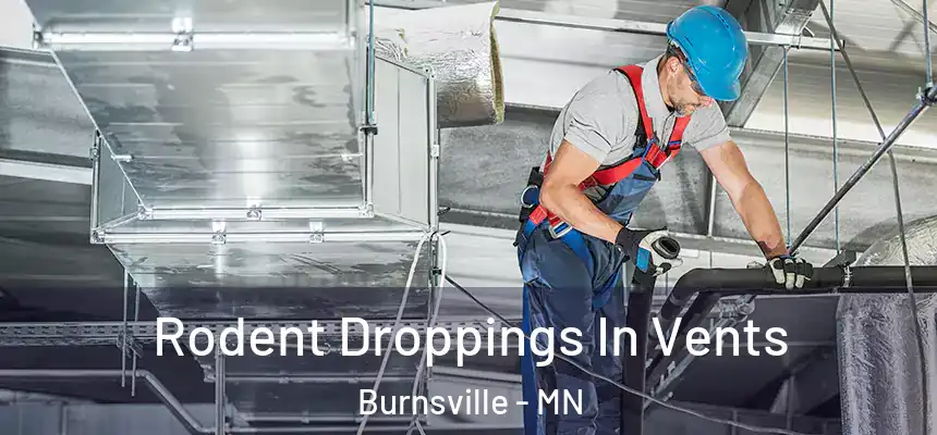  Rodent Droppings In Vents Burnsville - MN