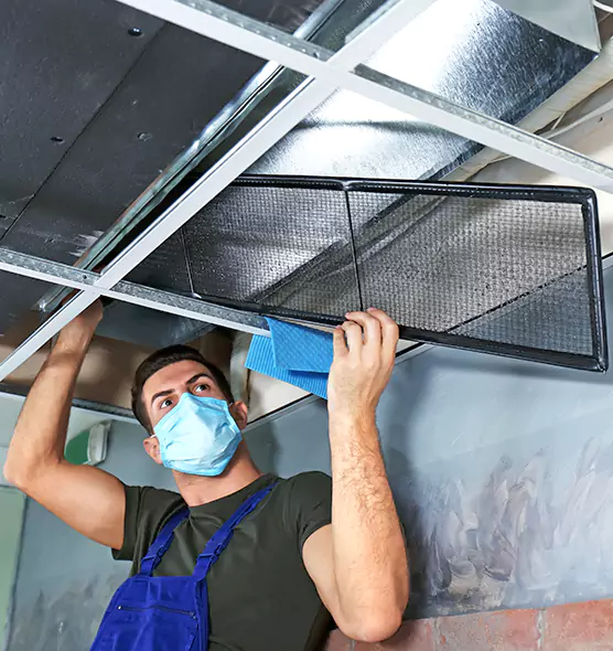 About Air Duct Bacteria Removal in Burnsville
