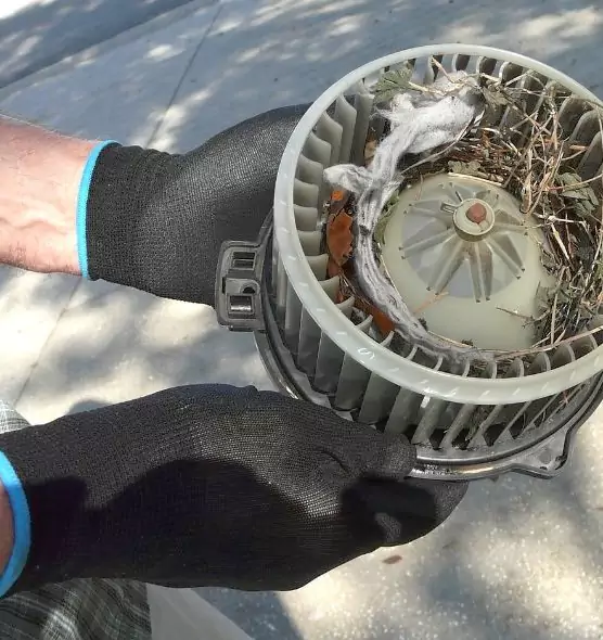 About Air Duct Mice Removal in Burnsville, MN