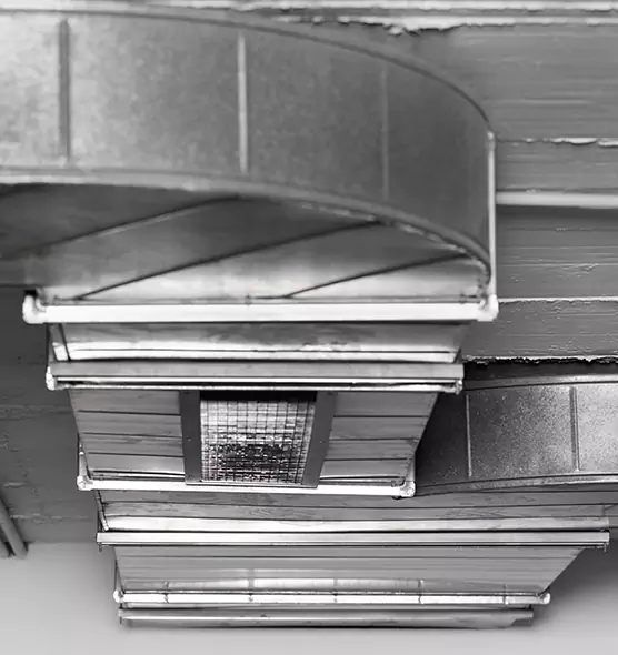 Professional Air Duct Pest Removal in Burnsville, MN