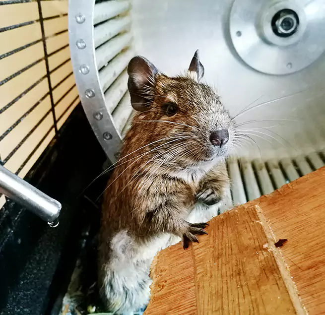 Why Homeowners & Businesses Trust Us Burnsville, MN